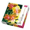 Puzzle NATURE 1000 Kvet Orchidea