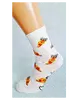 Dámske Crazy Socks bláznivé ponožky | Veľkosť: 36-39 | Pizza