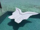 Anjelské krídla XXXL | Biela