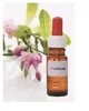 30 ml Esencia CHUDNUTIE