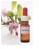 30 ml Esencia SEBADÔVERA