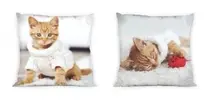 Obliečka na vankúš BEST FRIENDS 001