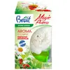 Brait Magic flower Spring garden