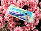 3 x 60 ks Balenie odličovacích tampónov Cotton Plus 2 v 1 Aloe Vera Mini