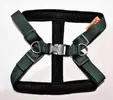 Postroj na psa Torronto Nylon Sun | Veľkosť: 40-50 cm | Tmavozelená