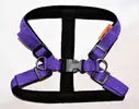 Postroj na psa Torronto Nylon Sun | Veľkosť: 40-50 cm | Fialová