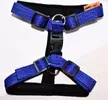 Postroj na psa Torronto Nylon Sun | Veľkosť: 40–50 cm | Tmavomodrá