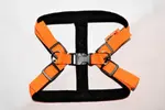 Postroj na psa Torronto Nylon Sun | Veľkosť: 40-50 cm | Oranžová