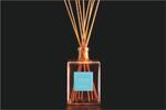 1000 ml Interiérový difúzer Areon Perfume Sticks (Aquamarine)
