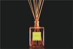 1000 ml Interiérový difúzer Areon Perfume Sticks (Eau Dete)