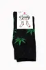 Pánske ponožky "Daily socks" | Veľkosť: 40-43 | Čierna / ganja