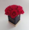 Malý hranatý box ruží