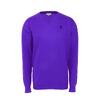 Pánsky sveter V-NECK značky U.S. Polo ASSN | Veľkosť: L | Fialová
