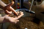 BIO certifikovaná káva PERU - SELVA ALTA | Hmotnosť: 225 g