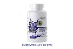 90 kps. Doplnok stravy Aone Nutrition Boswellia