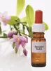 30 ml Esencia Sexuálna túžba