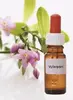 30 ml Esencia Vyčerpanie
