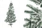 Vianočný stromček AGA (837T / jedľa zasnežená) | Veľkosť: 180 cm