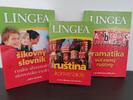 3-dielny Jazykový balíček ruského jazyka pre študentov základných a stredných škôl (slovník + gramatika + konverzácia)