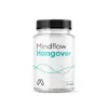 24 kps. Mindflow Hangover