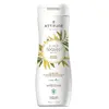 473 ml Prírodný šampón Super Leaves s detoxikačným účinkom ATTITUDE "Pre normálne a mastné vlasy" (čierny čaj + uhorka)