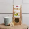 35 g Mätový čaj Reishi