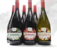 6 x 0,75 l Kartón ovocných vín (ríbezľa / jahoda / broskyňa)