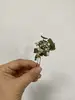 Kvetinová greenery vlásenka "Ráno skladáš verše"