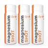 3 x 60 ml Magnesium Shot značky GymBeam | Príchuť: Pomaranč