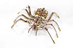 Mechanický model EWA „Spider“