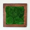 Hranatý obraz s kopčekovým machom ručne vyrobený na Slovensku | Rozmer: 30 x 30 cm