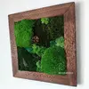 Hranatý obraz s rôznymi druhmi machov ručne vyrobený na Slovensku (hnedá) | Rozmer: 30 x 30 cm