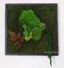 Hranatý obraz s rôznymi druhmi machov ručne vyrobený na Slovensku | Rozmer: 30 x 30 cm