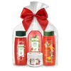 4-dielny Darčekový balíček Pomegranate & Mango Aroma