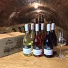 6 x 0,75 l Jemne perlivé víno Frizzante: 2 x Pinot / 2 x André / 2 x Chardonnay