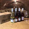 6 x 0,75 l MIX BALÍK: 3 x Jemne perlivé víno Frizzante + 3 x Hroznový mušt