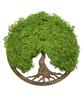 Machový obraz Oak "Strom života" Tmavohnedá