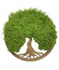 Machový obraz Oak "Strom života" (hnedá)