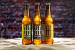 6 x 0,5 l Remeselné pivo HL 10 °/11 °/12 °