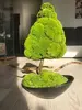 Machový stromček | Rozmer: 30 cm