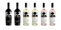 6 x 0,75 l MIX Moldavských vín