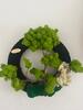 Machový kruh bonsaj | Rozmer: 40 cm