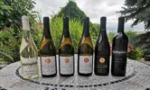 6-dielny Balíček suchých a polosuchých vín z vinárstva Bíro