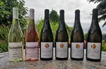 6-dielny Balíček polosladkých a sladkých vín z vinárstva Bíro