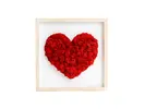 Machový obraz na stenu "Moss Heart Red"