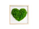 Machový obraz na stenu "Moss Heart Green"