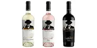 3 x 0,75 l MIX Moldavských vín