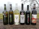6 x 0,75 l MIX 6 druhov vín