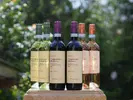 6 x 0,75 l Kartón talianských vín (MIX 3 druhov)