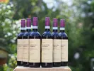 6 x 0,75 l Kartón vín Montepulciano 2021 | Pasqua